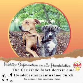 Zwei Hunde